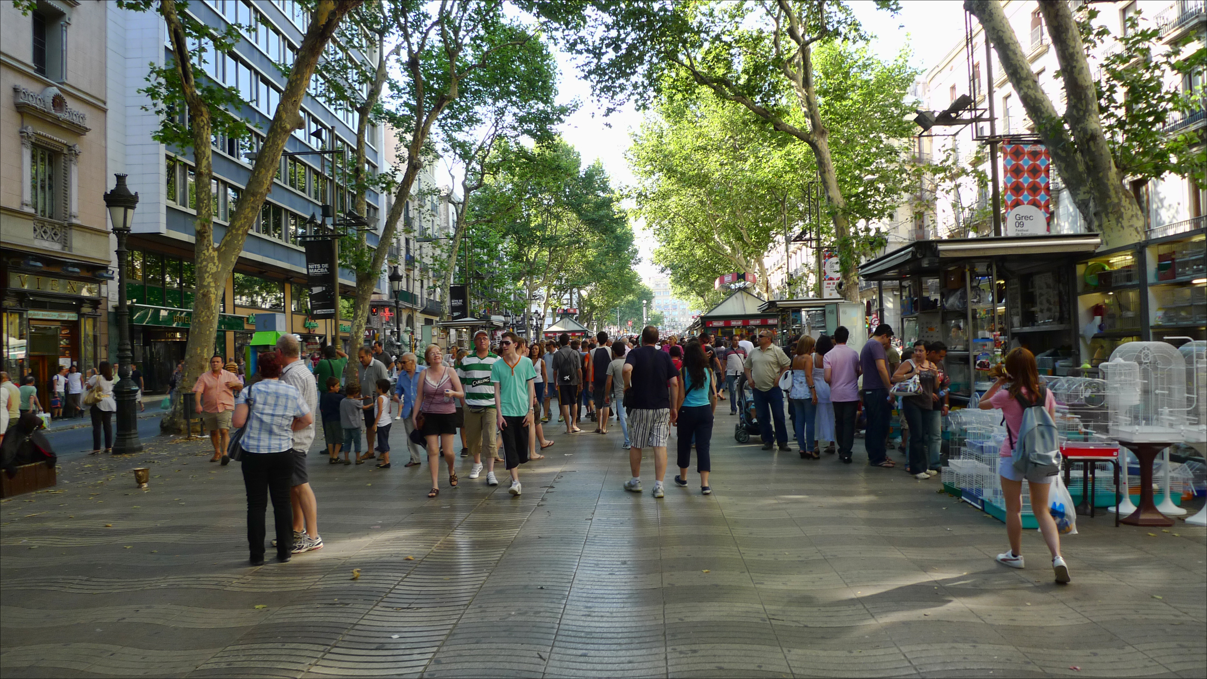 https://d3r8gwkgo0io6y.cloudfront.net/upload/las ramblas barcelona.jpg